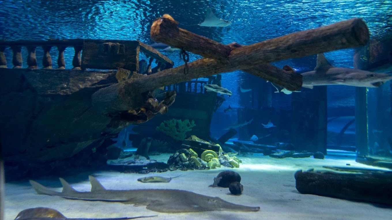 Alanya Aquarium Tour